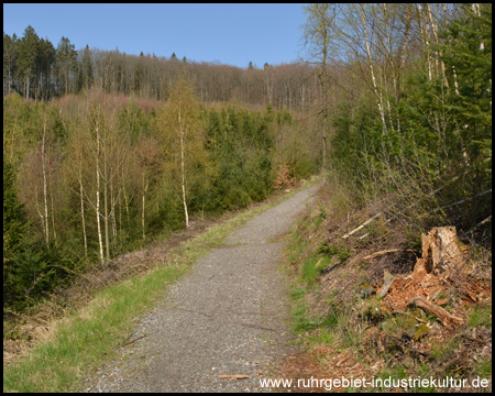 Der Weg führt zum Kaiser-Friedrich-Turm