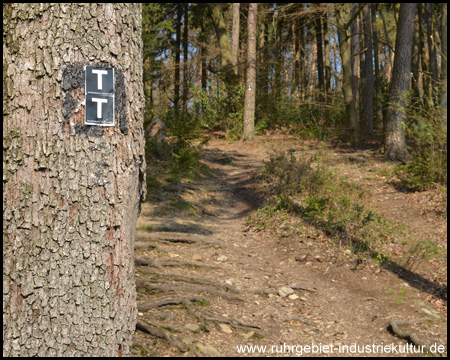 Letzter Anstieg, dann ist der höchste Punkt der Tour erreicht