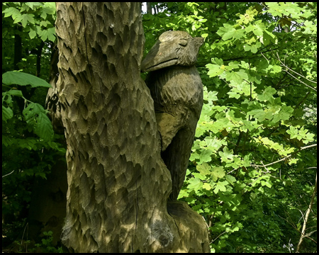 Specht am Baum