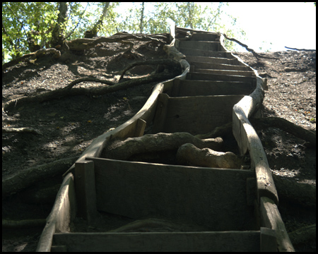 Holztreppe zum Gipfel