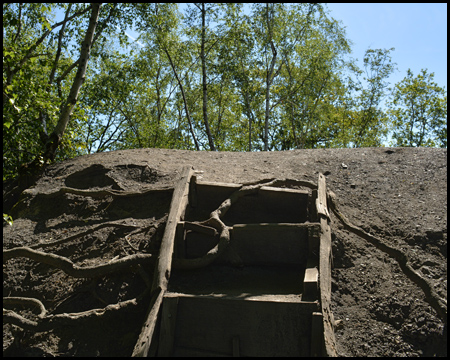 Holztreppe zum Gipfel