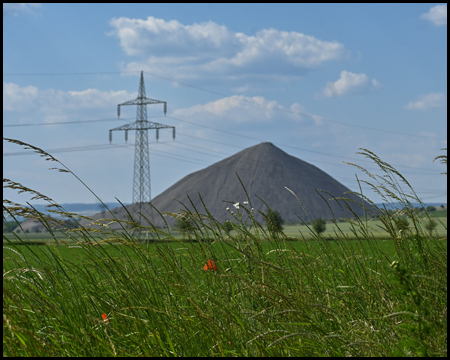 Spitzkegelhalde hinter Gräsern