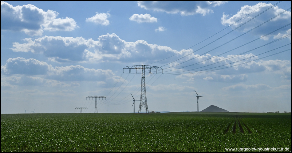 Halde Niederröblingen im Feld mit Hochspannungsleitung