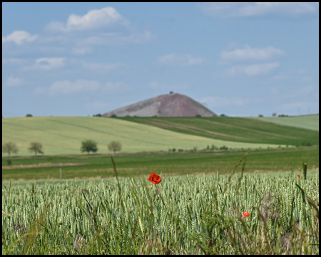 Eine Halde am Horizont hinter Feldern gesehen