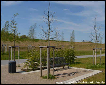 Parkanlage und Radweg mit Aussichtshügel