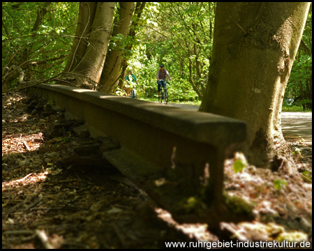 Rostige Schienen – Überreste am Rande des Radwegs