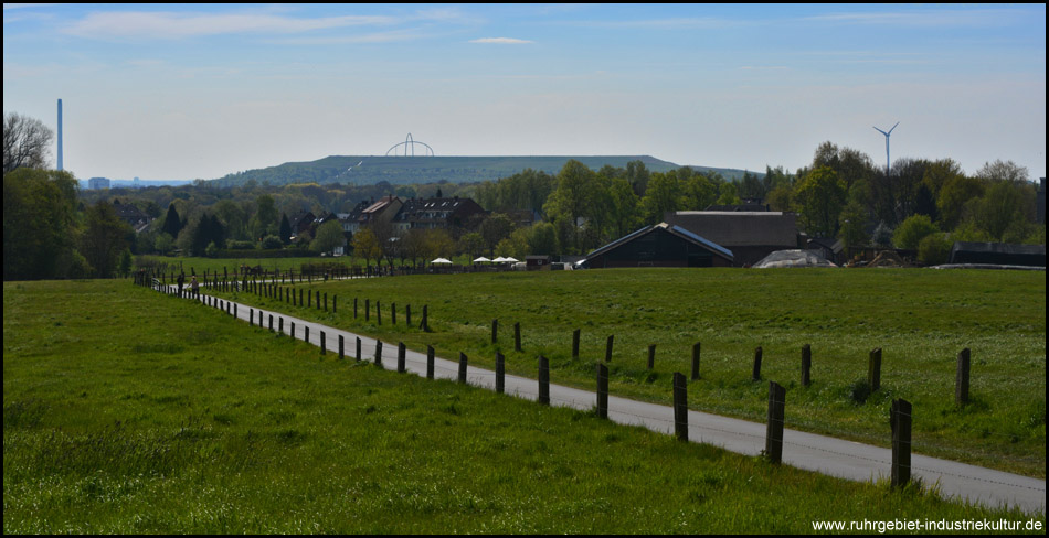 Halde Hoheward, auf der Spitze ist das Horizontobservatorium erkennbar – Blick von einem Rastplatz an der Allee des Wandels