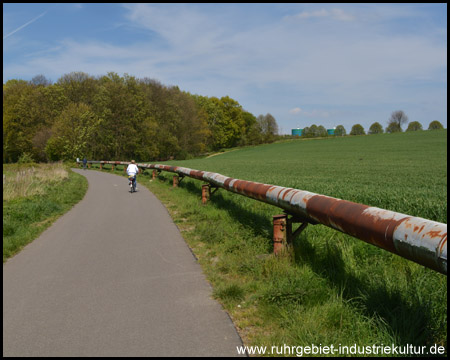 Kurve der alten Bahntrasse, hinten Wassertürme von Herten