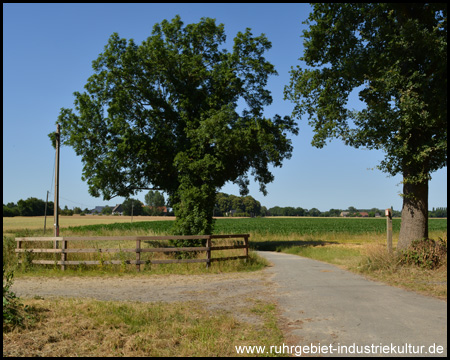 Alleenradweg Unna-Welver