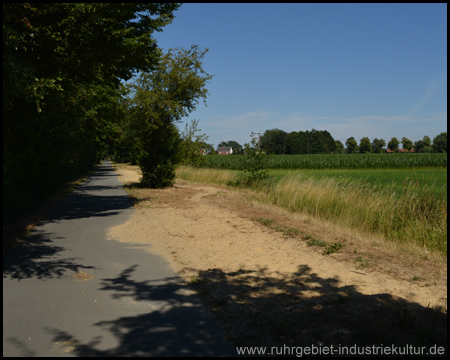 Alleenradweg Unna-Welver