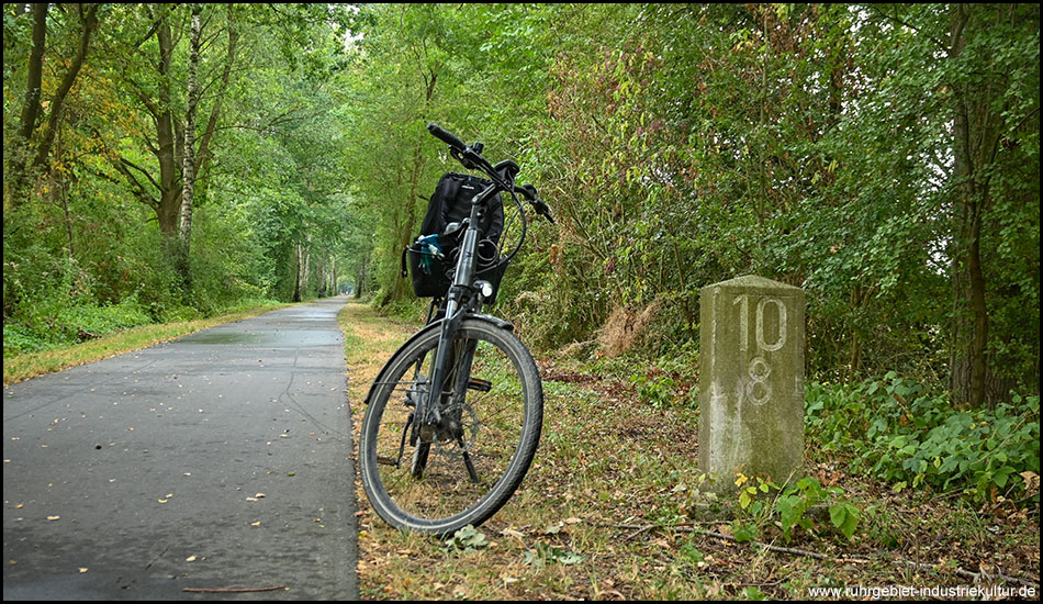 Ein Fahrrad steht am Rande eines asphaltierten Weges, der wie ein Tunnel unter Bäumen verläuft. Neben dem Fahrrad ein Hektometerstein einer alten Bahnstrecke mit den Zahlen 10 und 8