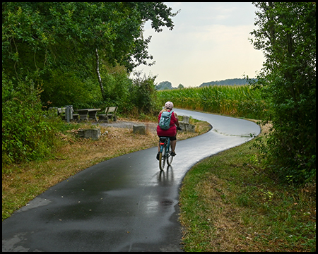 Radfahrerin auf einem kurvigen Radweg im ländlichen Raum. Voraus befindet sich ein Maisfeld. Links ein Rastplatz mit Sitzbänken und Tisch.