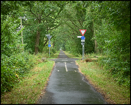 Ein schmaler, schnurgerader Radweg in einem grünen Korridor. Voraus befindet sich eine Wegkreuzung mit Vorfahrt-Schild