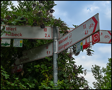 Ein teilweise zugewachsener Wegweiser für Radfahrende in Richtung Werl, Hilbeck, Welver und Unna. Darunter Symbole von Themenwegen wie der Quer-Feld-Land-Route oder dem Rundkurs Ruhrgebiet.