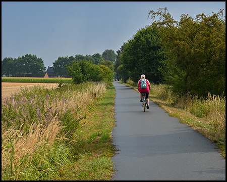 Radfahrerin auf einem asphaltierten Weg zwischen abgeernteten Feldern