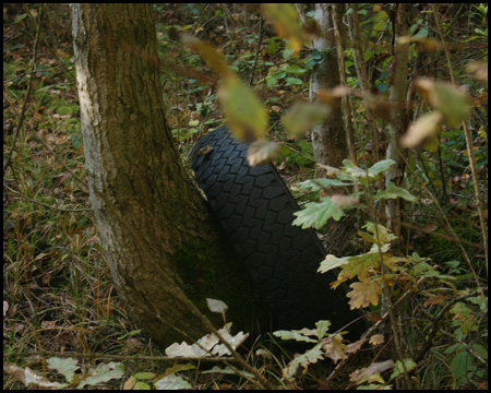 Fast so, als sei der Reifen älter als der Baum, an dem er lehnt