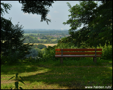 Bank mit Blick nach Westen auf die linke Rheinseite