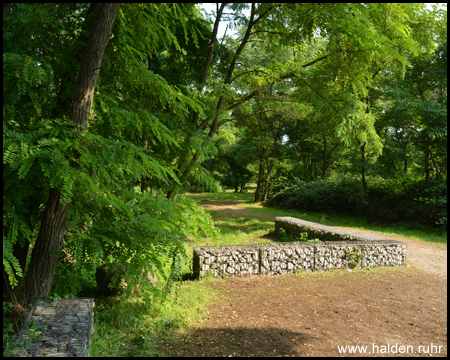 Gipfelplateau des Alsumer Berges