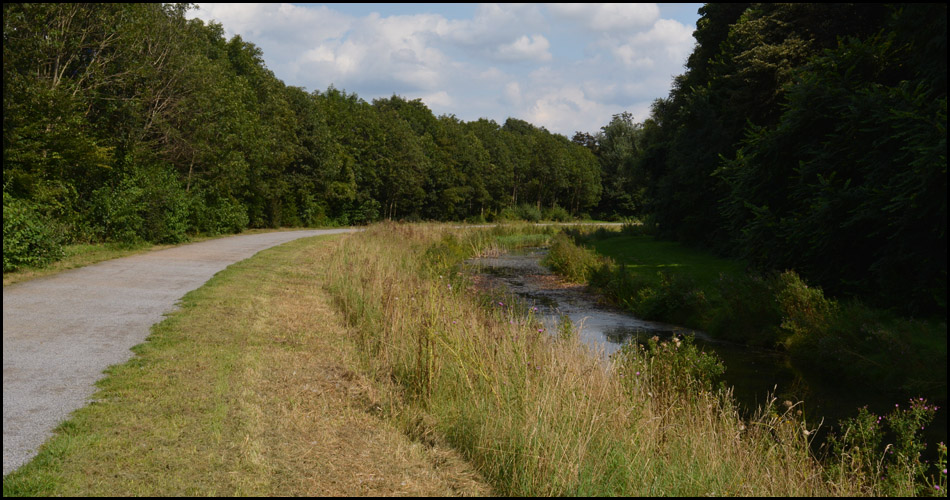 Langgestreckte Kurven von Gewässer und Radweg