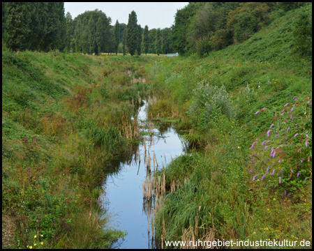 Kleiner Bach hinter dem Landschaftspark