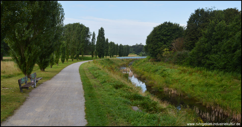 Radweg an der Alten Emscher Richtung Rhein