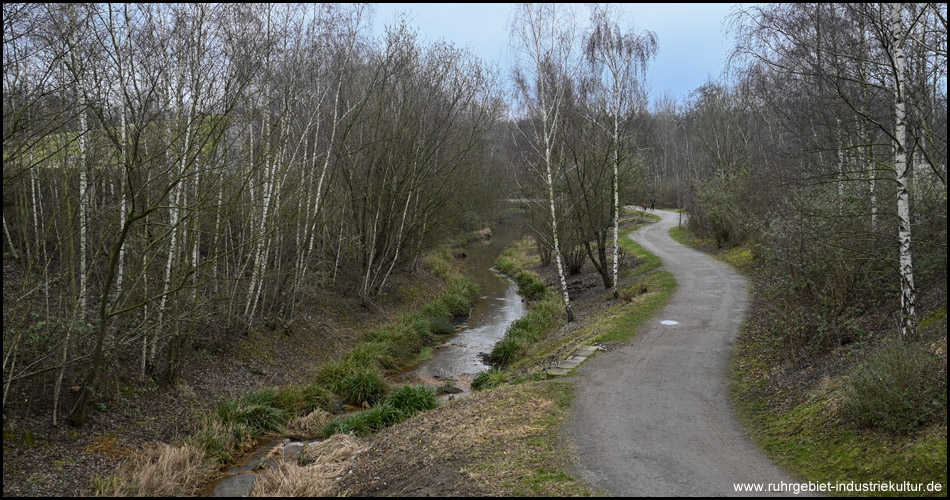 Kleiner Fluss gesehen von einer Brücke. Daneben verläuft ein schlangenförmiger Weg neben dem Ufer. Es ist Winter und die Bäume sind kahl