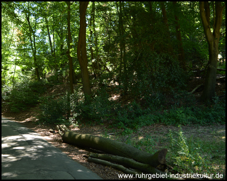 Bergehalde an der Straße Hölteregge