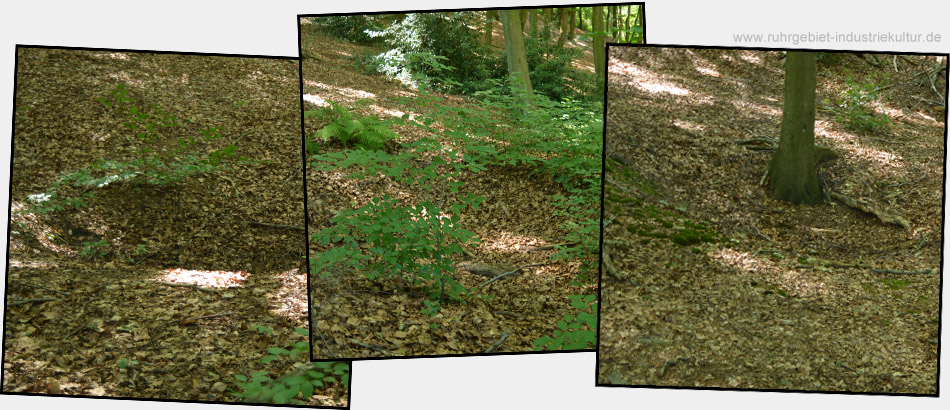 Deutlich sichtbare Geländemulden rechts und links vom Weg sind (meistens) alte Pingen des frühen Bergbaus