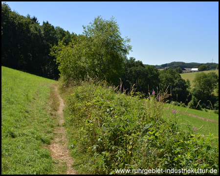 Weg durch Wiesen am Hang entlang