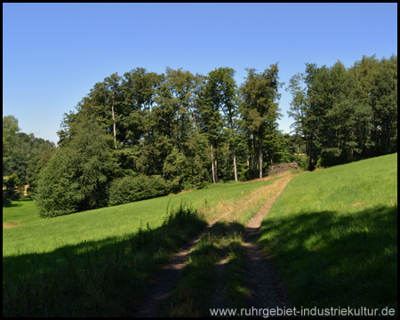 Alte-Haase-Weg in Sprockhövel