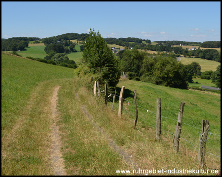 Auf der Suche nach der Beschilderung: Alte-Haase-Weg Süd