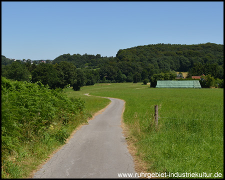 Langsam bergauf führt der Weg zur Zeche Lange (Blick zurück)