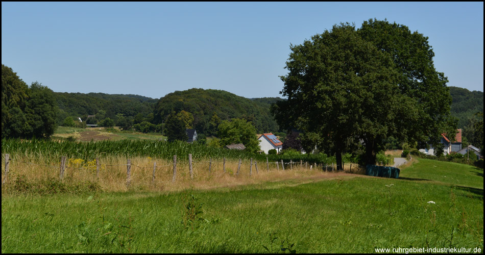 Idyllische Weglage: Durch Felder geht´s nun abwärts ins Tal nach Sprockhövel zurück