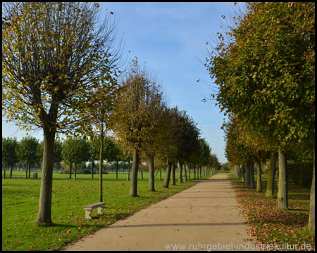 Wege auf alten Stadtstraßen, Bäume an den Kolonaden