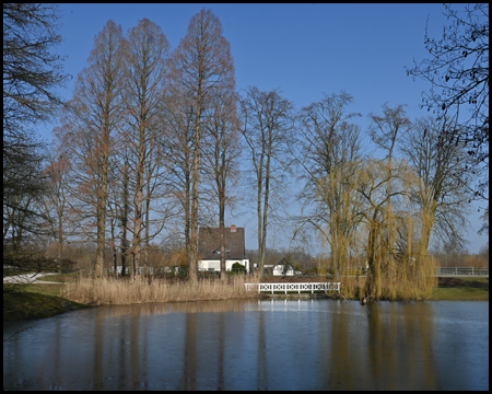 Teich in Winterlandschaft