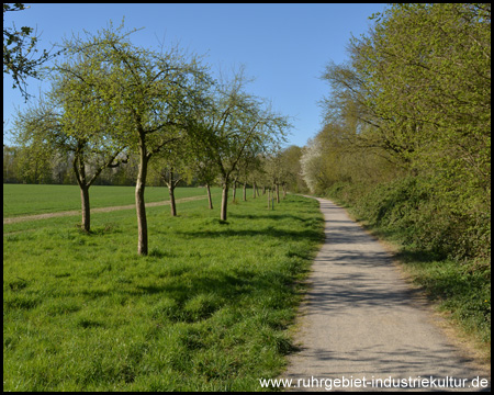 Radweg auf der Bahntrasse von Merklinde zur Zeche Schwerin