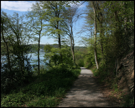 Waldweg vom Baldeneysee zur Schwarzen Lene