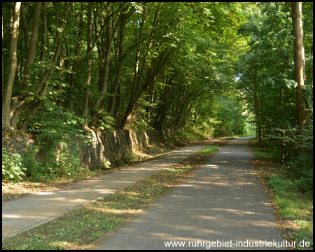 Bahntrassenradweg für alle mit Füßen und mit Rädern (rechts)