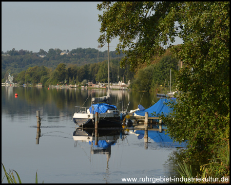 Ausblick auf den See vom Radweg aus