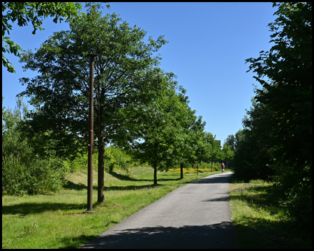 Radtour auf dem Bananenweg