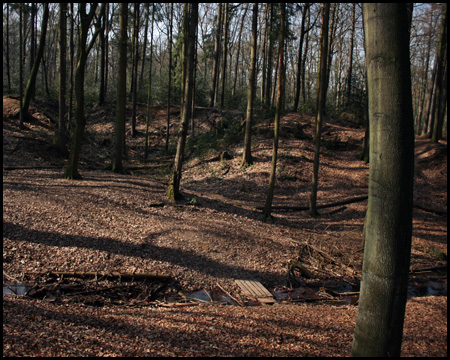 Überreste von Pingen und einem Sandsteinbruch im Quellbereich