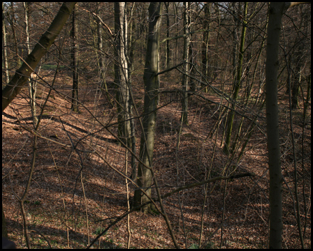 Pferdekarrenspuren als Rinnen im Gelände