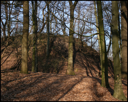 Halde Caroline am Waldrand der Schönen Flöte