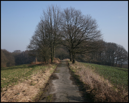 Kleiner Weg auf einem Sattel zwischen Lottenbach und Ruhr