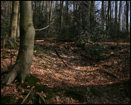 Einsturztrichter einer alten Pinge aus dem Bergbau