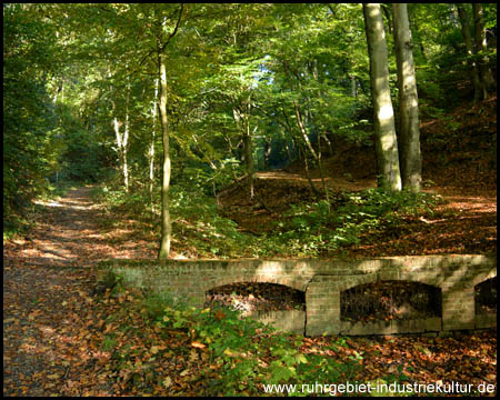 Waldstück am Baaker Berg mit historischen Schiebewegen Monumentales Bauwerk im Bachtal 