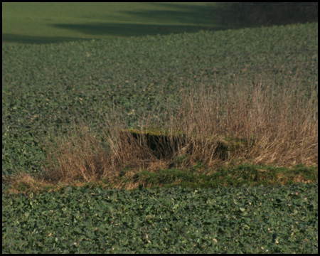 Fundamente mitten im Feld