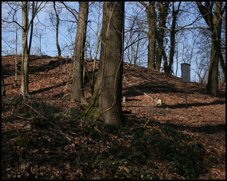 Halde Eulenbaum mitten im Laerholz