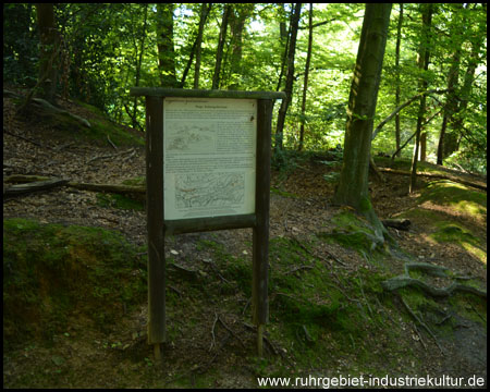 Pinge im Wald und kleine Bergehalde links daneben