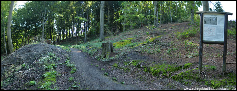 Eingefallener Stollen (rechts vom Baumstumpf) und Zungenhalde zum Talboden (links)
